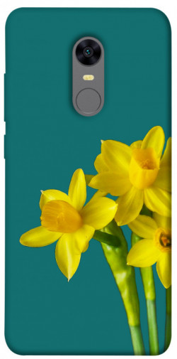 Чохол itsPrint Golden Daffodil для Xiaomi Redmi 5 Plus / Redmi Note 5 (Single Camera)