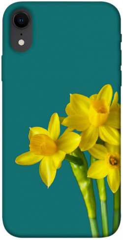 Чехол itsPrint Golden Daffodil для Apple iPhone XR (6.1")
