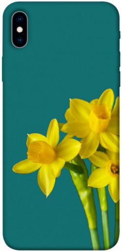 Чехол itsPrint Golden Daffodil для Apple iPhone XS Max (6.5")