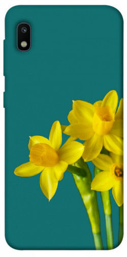 Чохол itsPrint Golden Daffodil для Samsung Galaxy A10 (A105F)