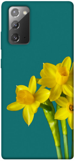 Чохол itsPrint Golden Daffodil для Samsung Galaxy Note 20