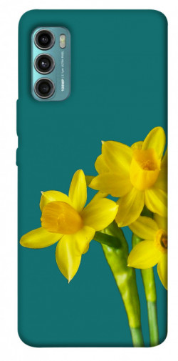 Чехол itsPrint Golden Daffodil для Motorola Moto G60