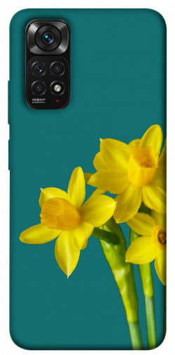 Чехол itsPrint Golden Daffodil для Xiaomi Redmi Note 11 (Global) / Note 11S