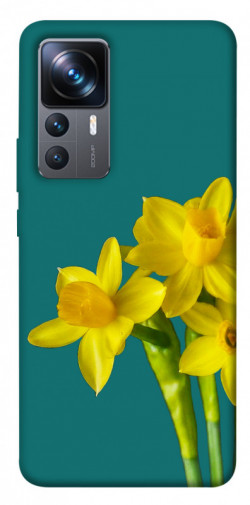 Чехол itsPrint Golden Daffodil для Xiaomi 12T / 12T Pro