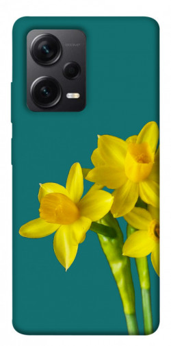 Чехол itsPrint Golden Daffodil для Xiaomi Redmi Note 12 Pro+ 5G