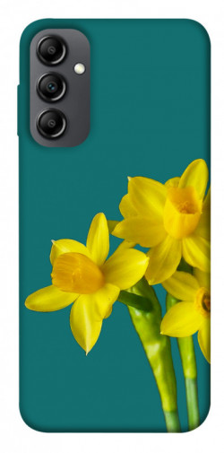 Чохол itsPrint Golden Daffodil для Samsung Galaxy A14 4G/5G