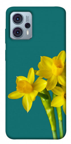 Чехол itsPrint Golden Daffodil для Motorola Moto G23