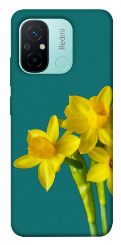 Чехол itsPrint Golden Daffodil для Xiaomi Redmi 12C