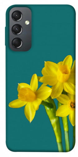 Чохол itsPrint Golden Daffodil для Samsung Galaxy A24 4G