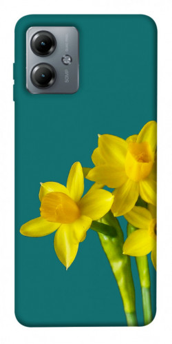 Чехол itsPrint Golden Daffodil для Motorola Moto G14