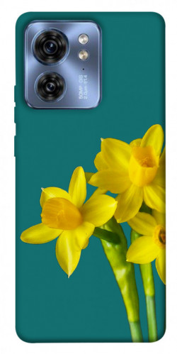 Чехол itsPrint Golden Daffodil для Motorola Edge 40
