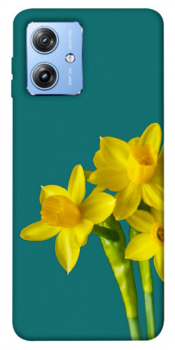 Чехол itsPrint Golden Daffodil для Motorola Moto G84