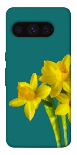 Чехол itsPrint Golden Daffodil для Google Pixel 8 Pro