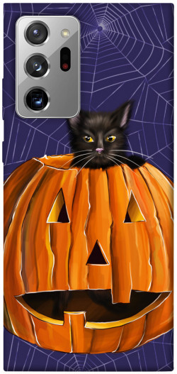 Чохол itsPrint Cat and pumpkin для Samsung Galaxy Note 20 Ultra