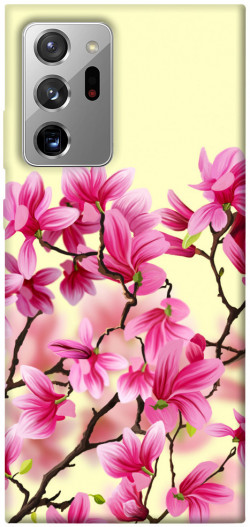 Чохол itsPrint Квіти сакури для Samsung Galaxy Note 20 Ultra