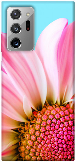 Чехол itsPrint Цветочные лепестки для Samsung Galaxy Note 20 Ultra