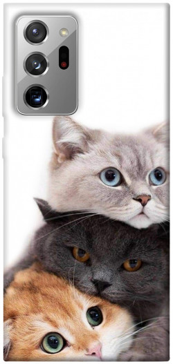 Чохол itsPrint Три коти для Samsung Galaxy Note 20 Ultra