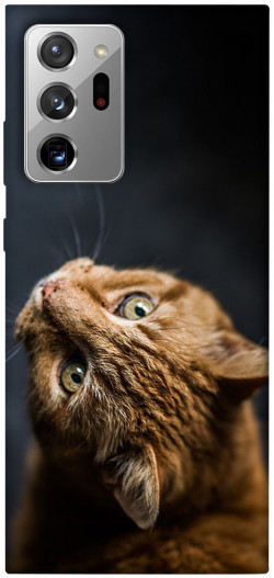 Чехол itsPrint Рыжий кот для Samsung Galaxy Note 20 Ultra