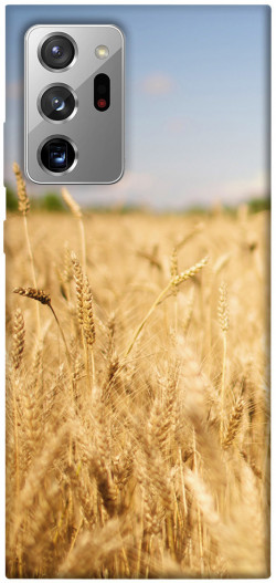 Чехол itsPrint Поле пшеницы для Samsung Galaxy Note 20 Ultra