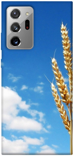 Чохол itsPrint Пшениця для Samsung Galaxy Note 20 Ultra