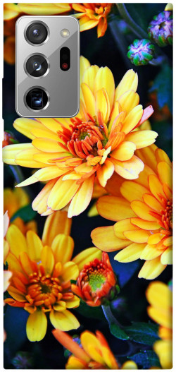 Чохол itsPrint Yellow petals для Samsung Galaxy Note 20 Ultra