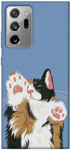 Чохол itsPrint Funny cat для Samsung Galaxy Note 20 Ultra