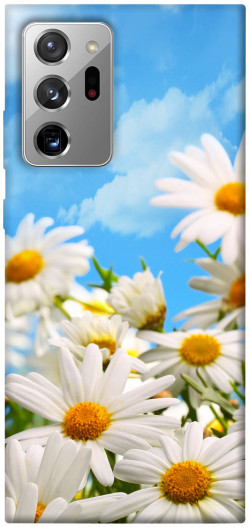 Чехол itsPrint Ромашковое поле для Samsung Galaxy Note 20 Ultra