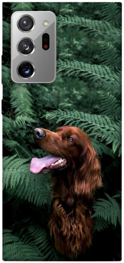 Чехол itsPrint Собака в зелени для Samsung Galaxy Note 20 Ultra
