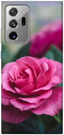 Чехол itsPrint Роза в саду для Samsung Galaxy Note 20 Ultra