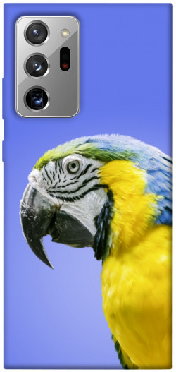 Чохол itsPrint Папуга ара для Samsung Galaxy Note 20 Ultra