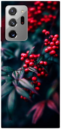 Чохол itsPrint Red berry для Samsung Galaxy Note 20 Ultra