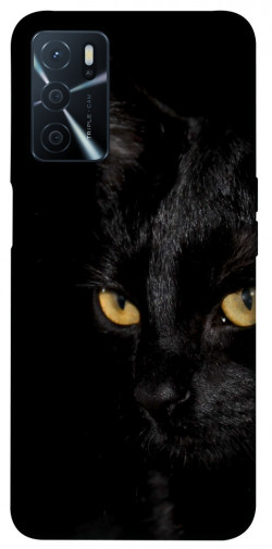 Чохол itsPrint Чорний кіт для Oppo A54s