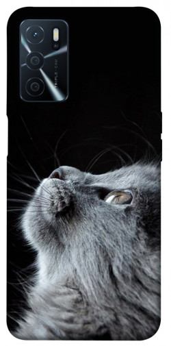 Чохол itsPrint Cute cat для Oppo A54s