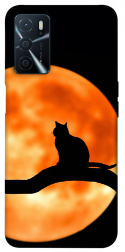 Чохол itsPrint Кіт на тлі місяця для Oppo A54s