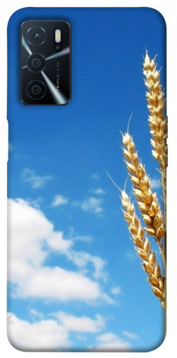 Чехол itsPrint Пшеница для Oppo A54s