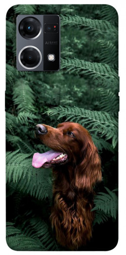Чехол itsPrint Собака в зелени для Oppo Reno 7 4G