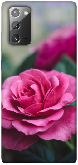 Чехол itsPrint Роза в саду для Samsung Galaxy Note 20