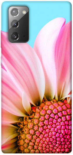 Чехол itsPrint Цветочные лепестки для Samsung Galaxy Note 20