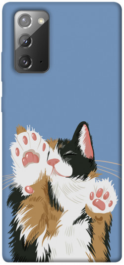 Чохол itsPrint Funny cat для Samsung Galaxy Note 20