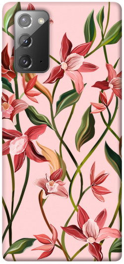 Чохол itsPrint Floral motifs для Samsung Galaxy Note 20