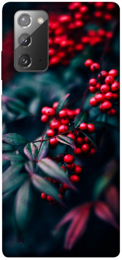 Чехол itsPrint Red berry для Samsung Galaxy Note 20