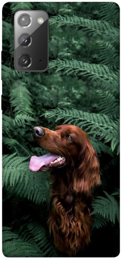 Чехол itsPrint Собака в зелени для Samsung Galaxy Note 20