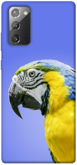 Чохол itsPrint Папуга ара для Samsung Galaxy Note 20