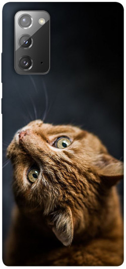 Чохол itsPrint Рудий кіт для Samsung Galaxy Note 20