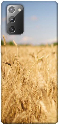 Чохол itsPrint Поле пшениці для Samsung Galaxy Note 20