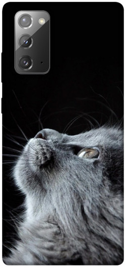 Чохол itsPrint Cute cat для Samsung Galaxy Note 20