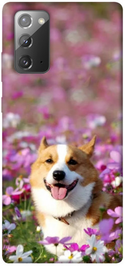 Чохол itsPrint Коргі в квітах для Samsung Galaxy Note 20