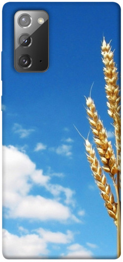Чохол itsPrint Пшениця для Samsung Galaxy Note 20