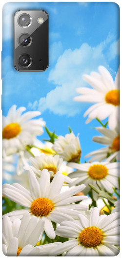Чехол itsPrint Ромашковое поле для Samsung Galaxy Note 20