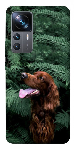 Чехол itsPrint Собака в зелени для Xiaomi 12T / 12T Pro
